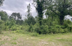 316 Thompson Hill Road, McLain, MS 39456