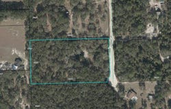 1689 Rosemary Cir, Bell, FL 32619