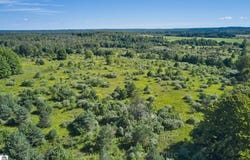 23.43 ACRES N 35 ROAD, MANTON, MI 49663