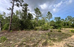 0 Unincorporated, Other City - In The State Of Florida, FL 32148