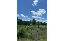 005 Captain J D Burr Road, Chesterfield, SC 29709