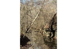 10959 Evanstown Rd, Berry, AL 35546