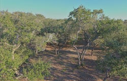 1861 Monkey Rd, ROCKPORT, TX 78382