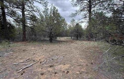 99 Cheyenne Drive, Durango, CO 81301