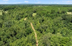 TBD FM 225 S, Laneville, TX 75667