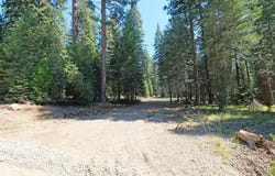 Elk Springs Dr lot: 3-G-12, McCloud, CA 96057