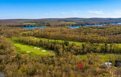 POLAND HEIGHTS Lane lot: 11, SWANTON, MD 21561
