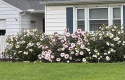 1 Huguenot Road, Tillson, NY 12486