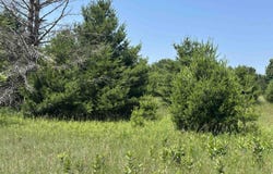 Parcel 4 Bright Road, Maple City, MI 49664