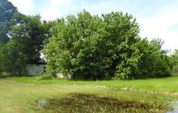 1119 La Hwy 662, Bayou Lourse, LA 70380