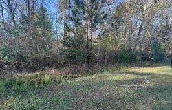 Crawfish Road, Chattahoochee, FL 32324