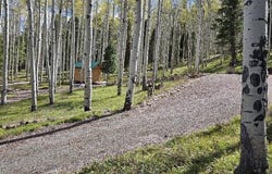 571 Crest Drive, Cimarron, CO 81220