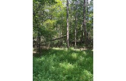 Cheatham Road, Monroe, VA 24574