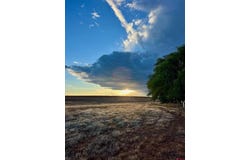 17 Road, Yellow Jacket, CO 81335