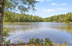 586 N Ruth Walker Rd, Waterloo, SC 29384