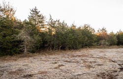 0000 Tbd 21+/- Ac Grassyville RD, Paige, TX 78659