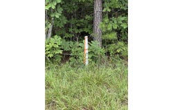 91.81 AC Brickhouse Road, Randolph, VA 23962