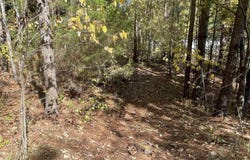 Lot #4 HIGHWAY 75, ONEONTA, AL 35121
