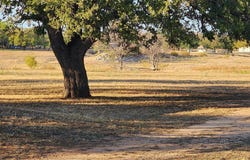 321 Bluebriar LN, Buchanan Dam, TX 78609