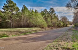 01 Sanders Store Road, Milan, TN 38358