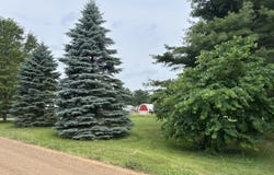5101 E Cutler Road, Bath, MI 48808