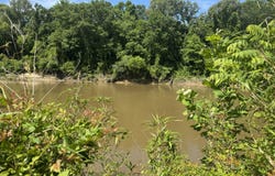 Cannon Hole, Amory, MS 38821