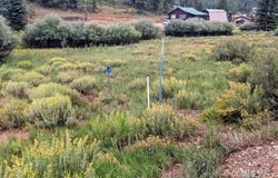 175 N Apollo Trail, Duck Creek Village, UT 84762