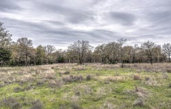W 177th Street, Dibble, OK 73031