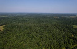 0 Dan Station Road, Olaton, KY 42361