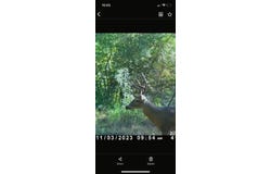 Tbd Flarity Road, Jefferson, TX 75657