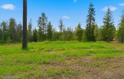 NKA 10-Ac E Parks Rd, Athol, ID 83801