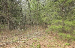 Daniel St, Cherokee, AL 35616