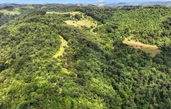 Tbd Rushing Road, Castlewood, VA 24224