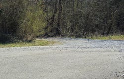 4836 Lillie Lane, Ooltewah, TN 37363