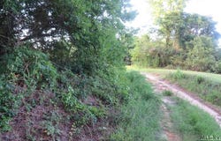 Justice Branch Road, Halifax, NC 27839