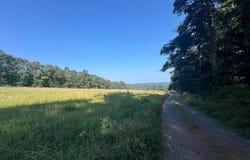 7236 SPRING GAP ROAD, SLANESVILLE, WV 25444
