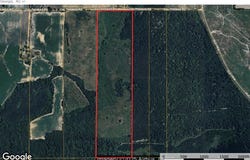 Cal Thomas Road, Whigham, GA 39897