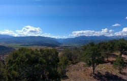 Tbd Pine Drive, Ridgway, CO 81432
