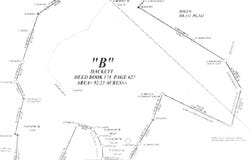 390 Joyful Way, Jumping Branch, WV 25969
