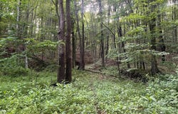4300 Mechanicsburg Rd, Wooster, OH 44691
