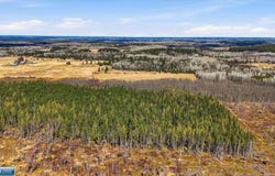 TBD2 Hwy 25, Angora, MN 55703