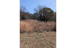 2541 Haynesville Hwy., Parkers Chapel, AR 71730