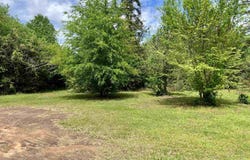 10813 E FM 2867, Henderson, TX 75654