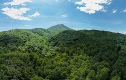 TBD 29.54 acres Hollow Ln, Lexington, VA 24450