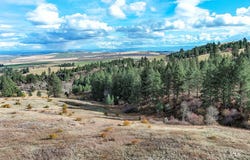 Tbd Over Yonder Road, CottonWood, ID 83522