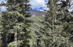Anglo Saxon #4 CR 61, Silverton, CO 81433