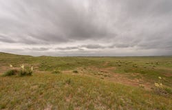 13421 Road 117a, Alliance, NE 69301
