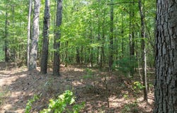 130 Lakeshore, Eatonton, GA 31024