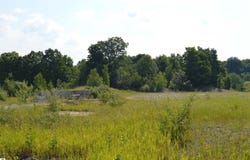 7573 ALDEN HIGHWAY, BELLAIRE, MI 49615