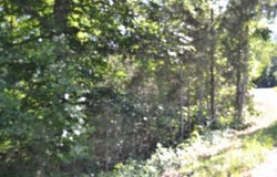 2.75ac Beauchamp Rd, Burkesville, KY 42717